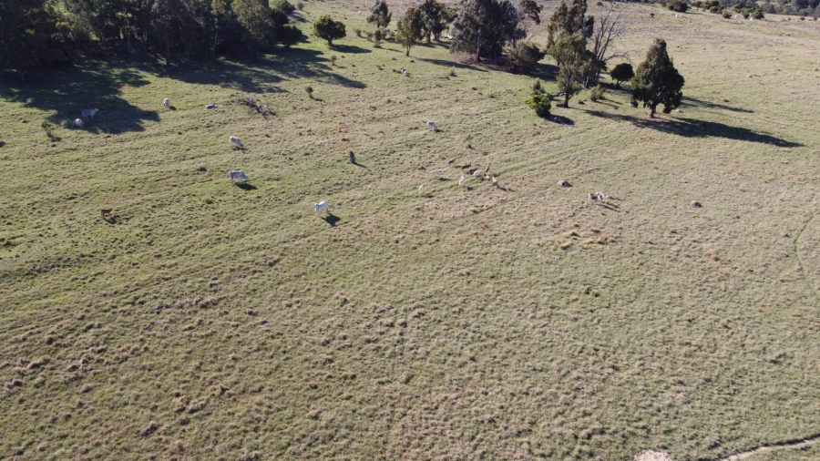 Commercial Property for Sale in Paul Roux Free State